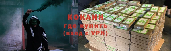 винт Алзамай