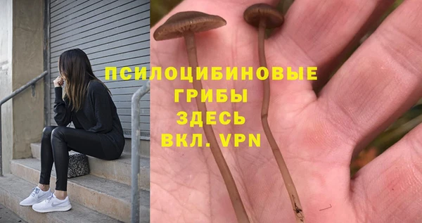 марки nbome Абаза